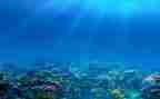 海底2万里读后感600字作文6篇