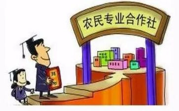 合作社合同推荐8篇