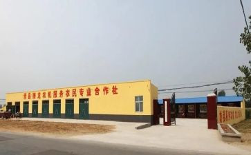 村合作社工作总结6篇