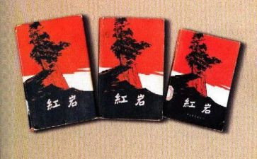 《红岩》读后感模板5篇
