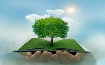 环保作文模板8篇