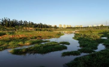 有关环境的演讲稿模板7篇