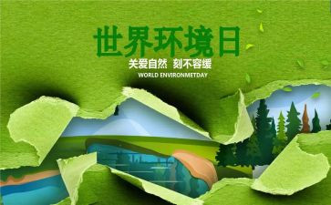 65环境日宣传活动总结7篇