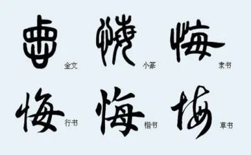 努力我无悔作文6篇