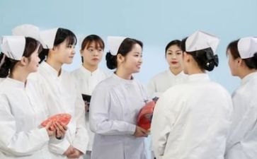2024半年护理工作总结优质8篇