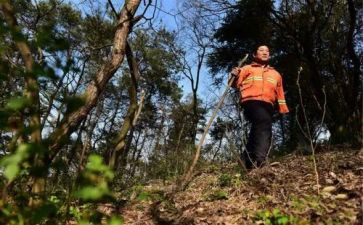 森林护林员工作总结推荐7篇