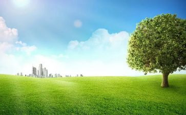 开展户外活动方案最新5篇