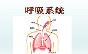 呼吸内科2024年工作总结7篇