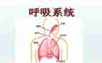 呼吸内科2024年工作总结7篇