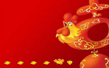 中班剥鸡蛋教案8篇