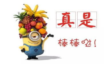排嘉奖事迹材料7篇