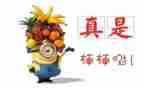排嘉奖事迹材料7篇
