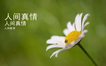 让真情流露笔尖作文7篇