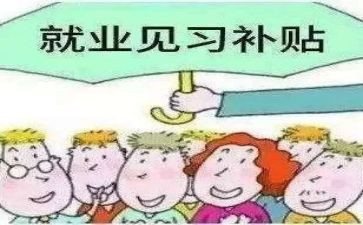 见习活动总结6篇