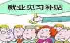 见习活动总结6篇
