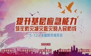 镇防灾减灾活动总结推荐7篇