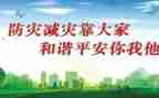 镇防灾减灾活动总结8篇
