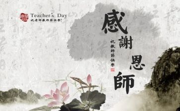 2024教师年度个人总结优秀6篇