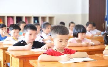 体育教学总结个人总结优质8篇