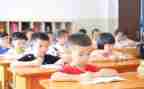 体育教学总结个人总结优质8篇
