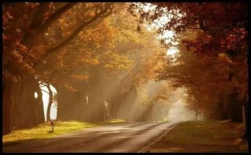 说教养演讲稿7篇