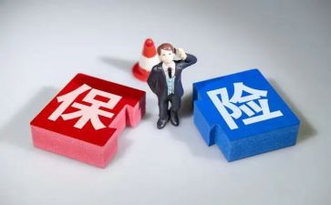 机保改革工作总结精选8篇