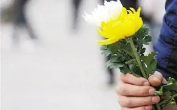 清明祭奠英烈心得7篇