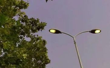 写竹子借物喻人的作文7篇