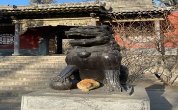 晋祠实践报告推荐7篇