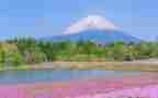 海的景色作文300字模板5篇