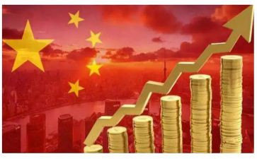 经济特区的心得体会5篇