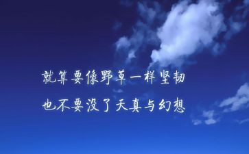 深圳讲话精神心得体会7篇
