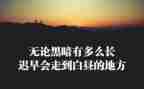 2024年精神科工作总结参考8篇