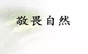 最敬畏的人作文模板7篇