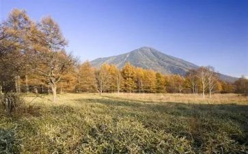 三年级写景物的作文8篇