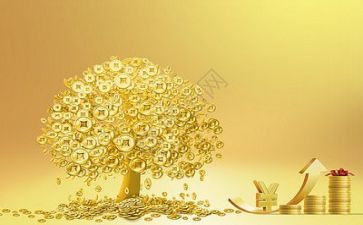 金融活动总结7篇