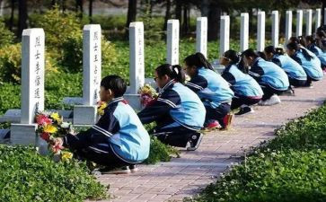 清明祭扫先烈活动方案8篇
