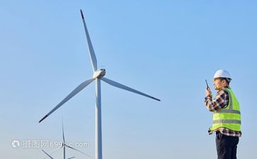 干技术的工作总结最新6篇