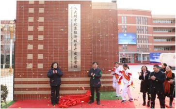 技术部的工作总结8篇