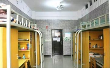 技术部的工作总结优秀5篇