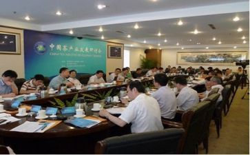 副局长2024年述职报告优秀6篇