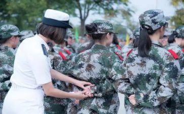 军训500字心得体会最新5篇