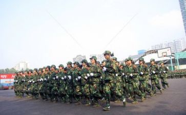 军训感悟和心得参考5篇