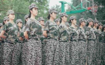 军训小作文500字8篇