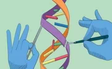 浮与沉科学教案最新8篇
