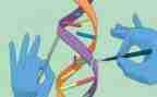 科学组工作计划7篇