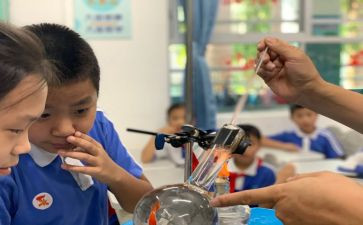 植物科学课教案6篇