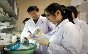 科研性工作总结模板8篇