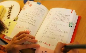 苦与乐演讲稿800字最新5篇