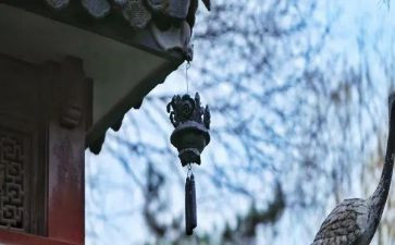 《文化苦旅》的读后感参考8篇